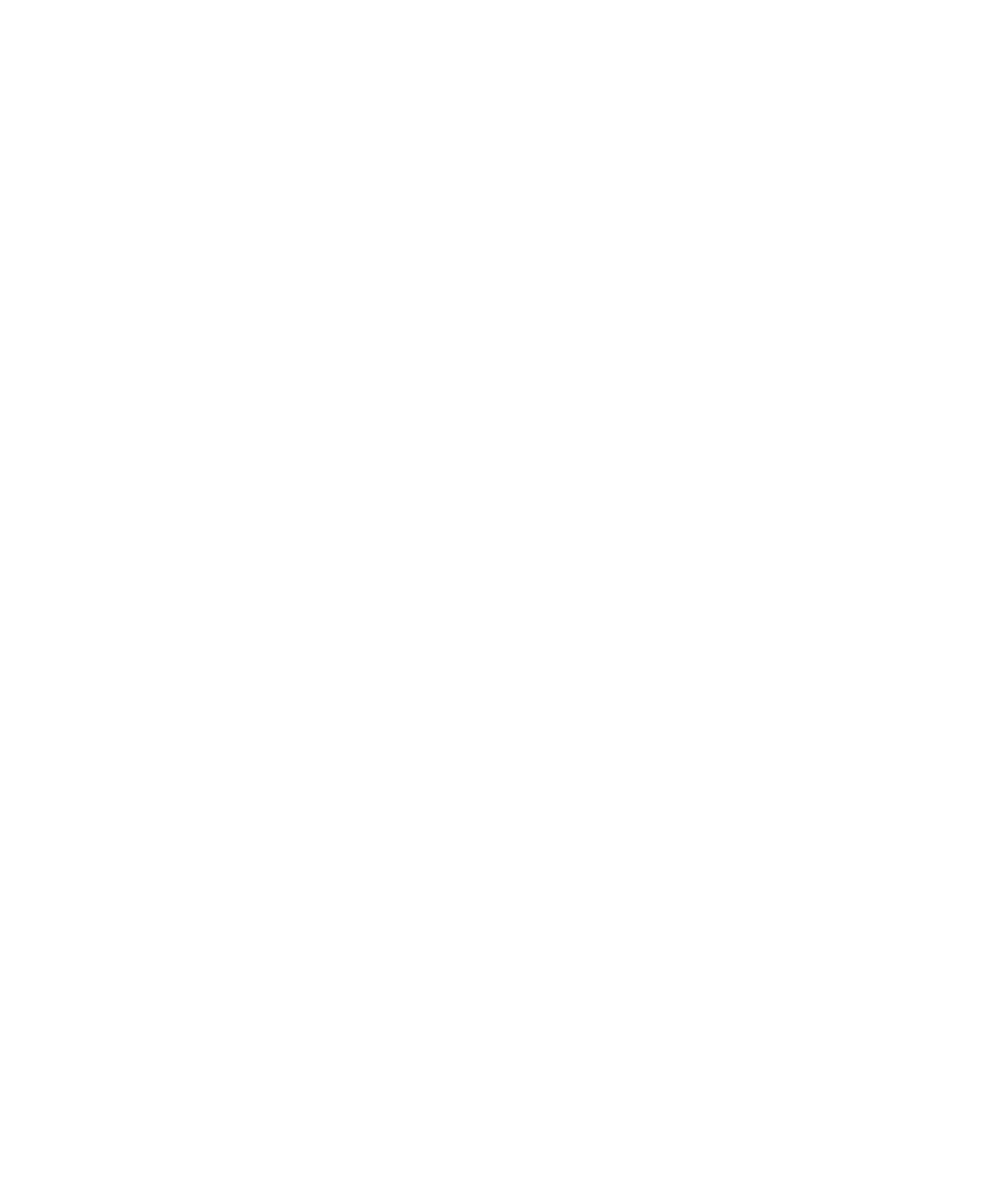 株式会社mitoriz